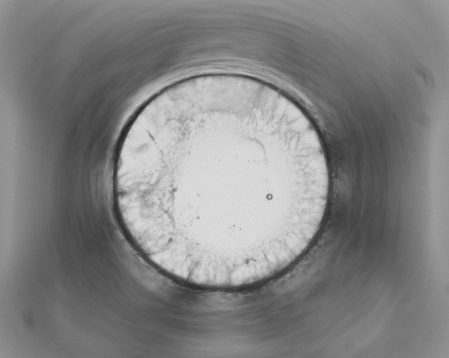 X0000112881514200909041631