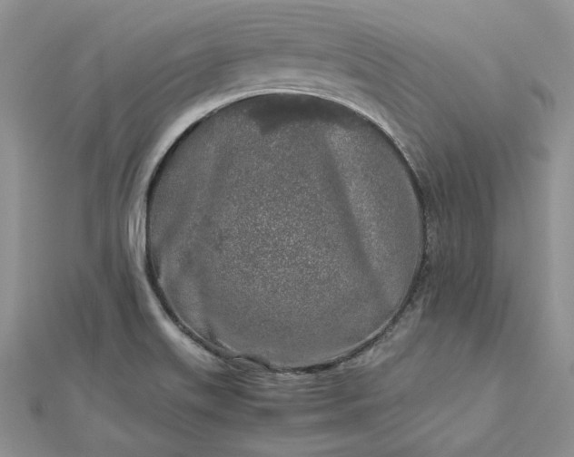 X0000112881515200909041631