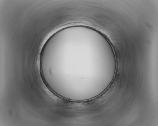 X0000112881516200909041631