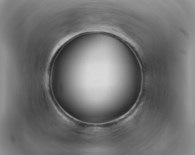 X0000112881517200909041631