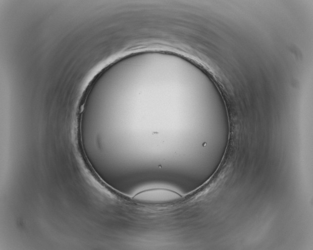 X0000112881518200909041631