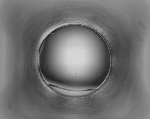 X0000112881520200909041631