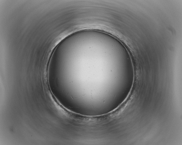 X0000112881521200909041631