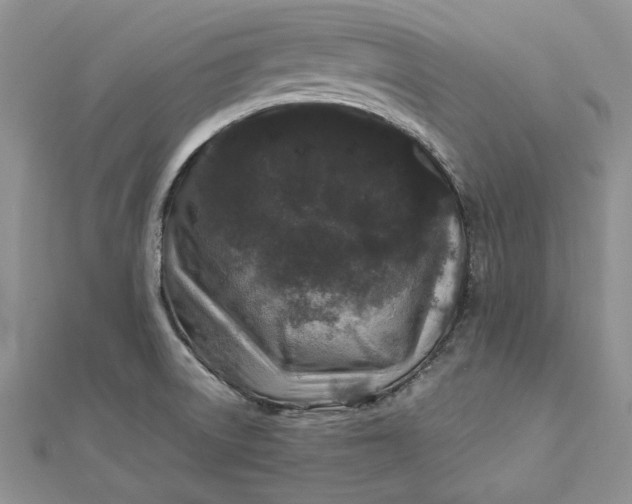 X0000112881522200909041631