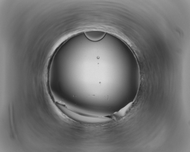 X0000112881523200909041631