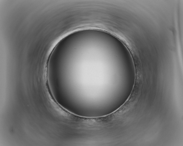 X0000112881524200909041631