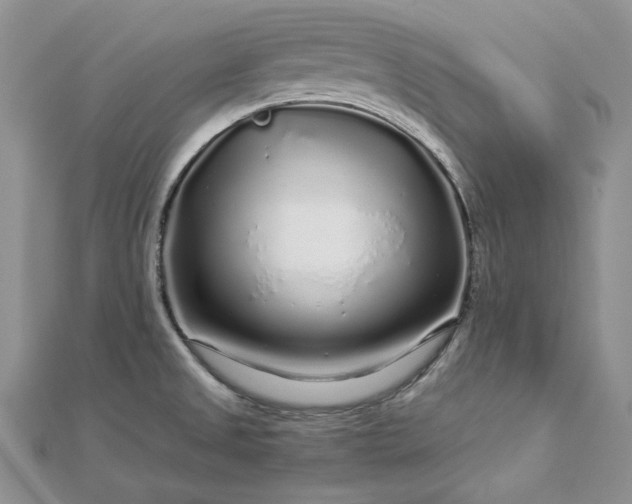 X0000112881525200909041631