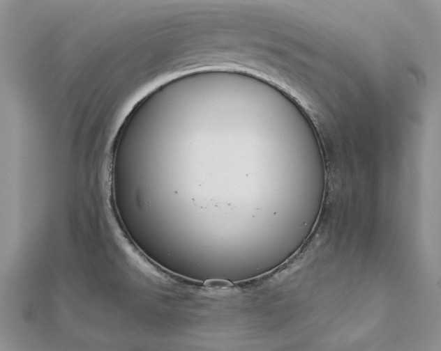 X0000112881526200909041631