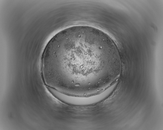 X0000112881527200909041631