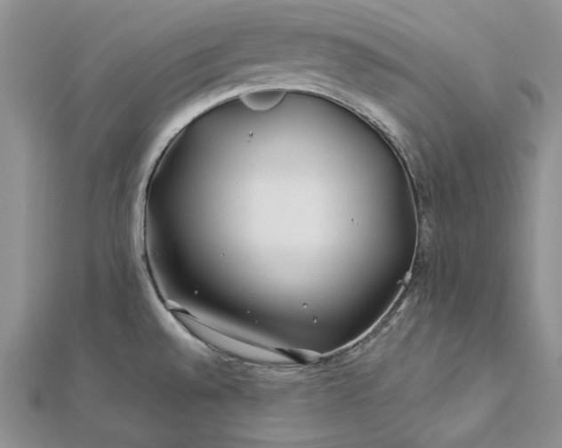 X0000112881528200909041631