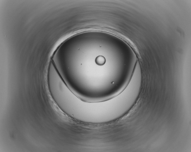 X0000112881530200909041631