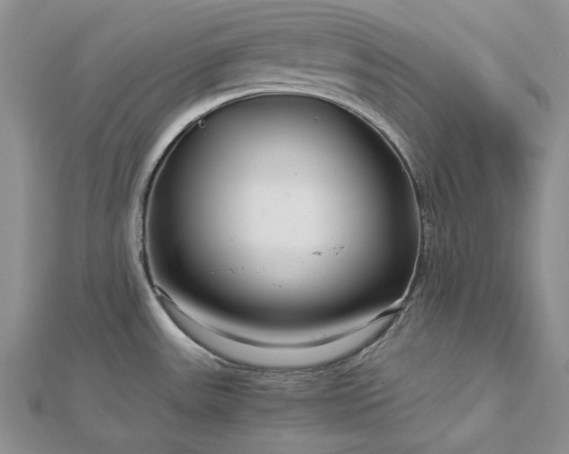 X0000112881531200909041631