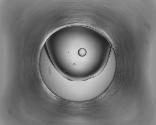 X0000112881532200909041631