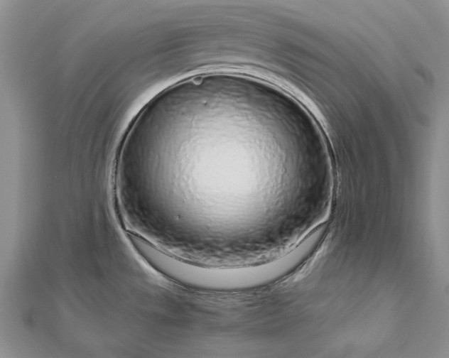 X0000112881533200909041631