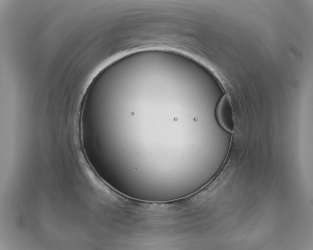 X0000112881534200909041631