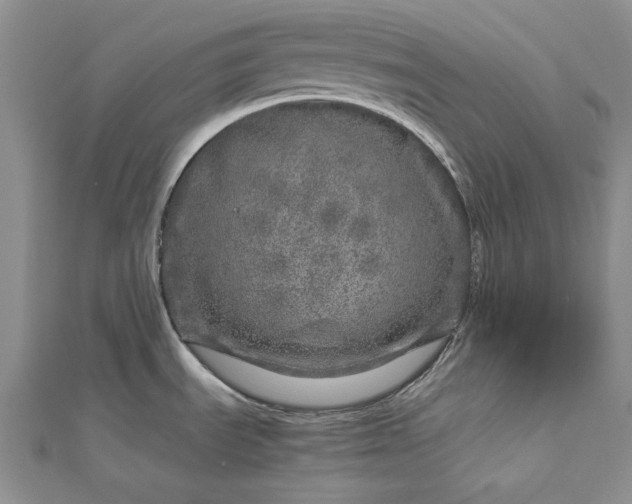 X0000112881535200909041631