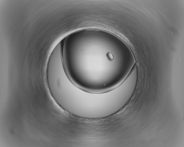 X0000112881536200909041631