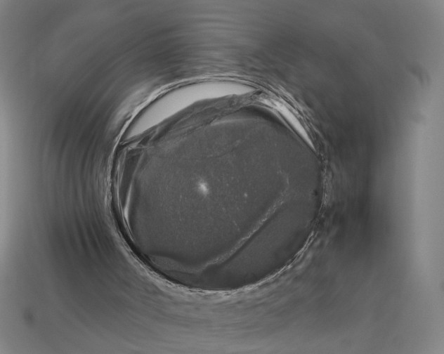 X0000112880002200909111453