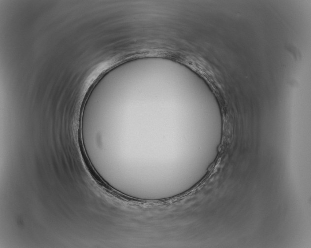 X0000112880003200909111453