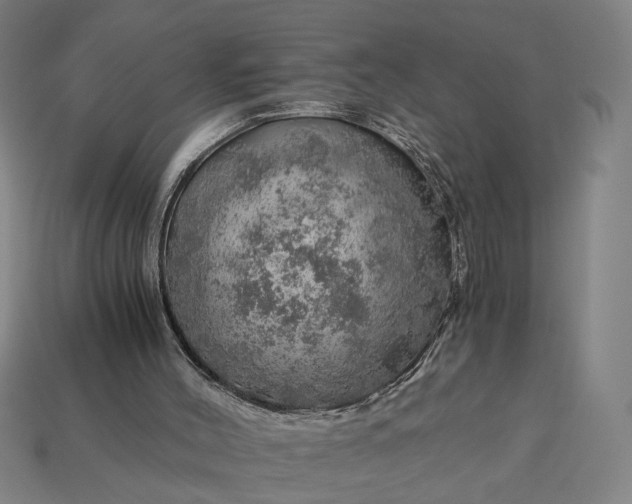 X0000112880004200909111453