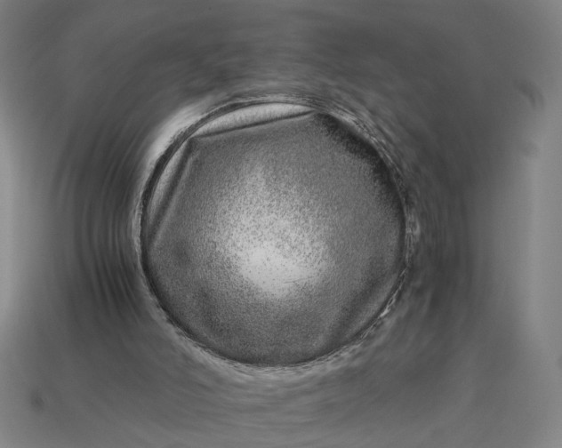 X0000112880006200909111453