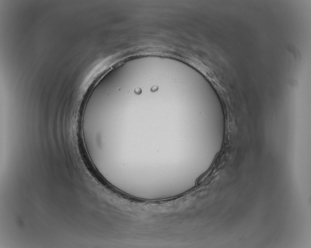 X0000112880007200909111453