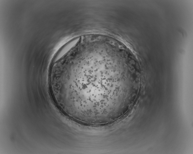 X0000112880008200909111453