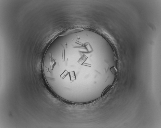 X0000112880009200909111453