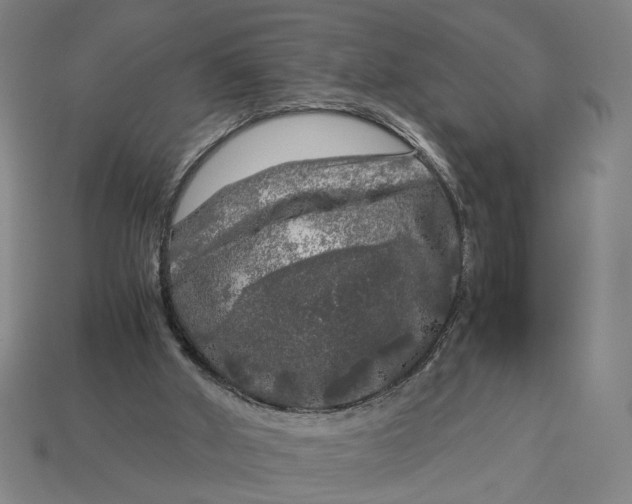 X0000112880010200909111453