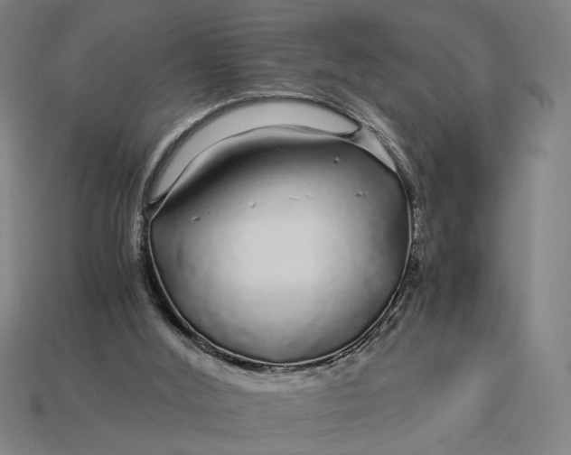 X0000112880012200909111453