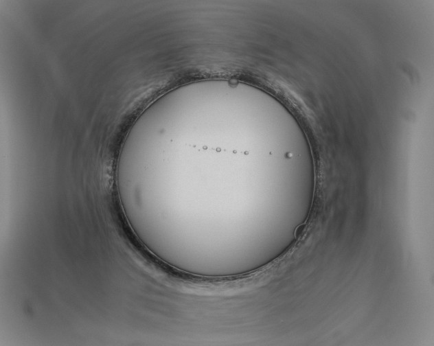 X0000112880017200909111453