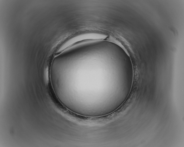 X0000112880020200909111453