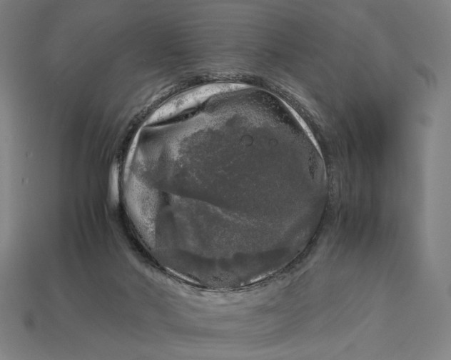 X0000112880022200909111453