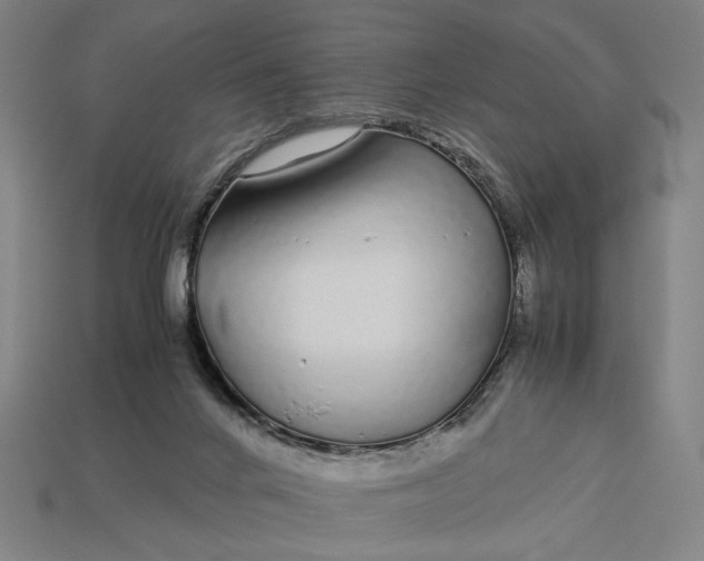 X0000112880024200909111453