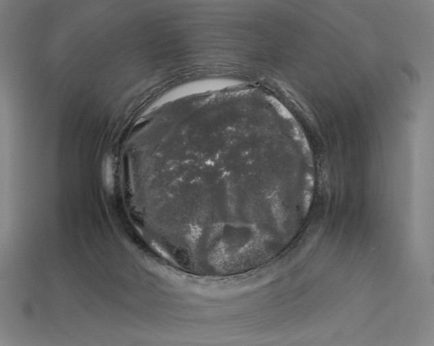 X0000112880026200909111453