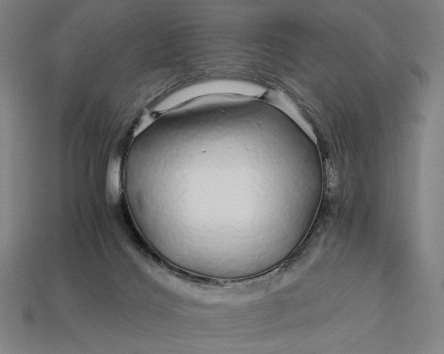 X0000112880028200909111453