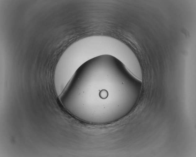 X0000112880029200909111453