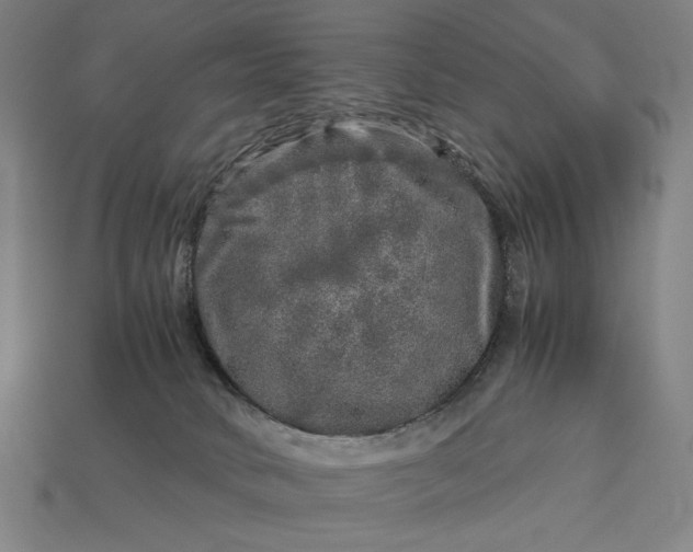 X0000112880034200909111453