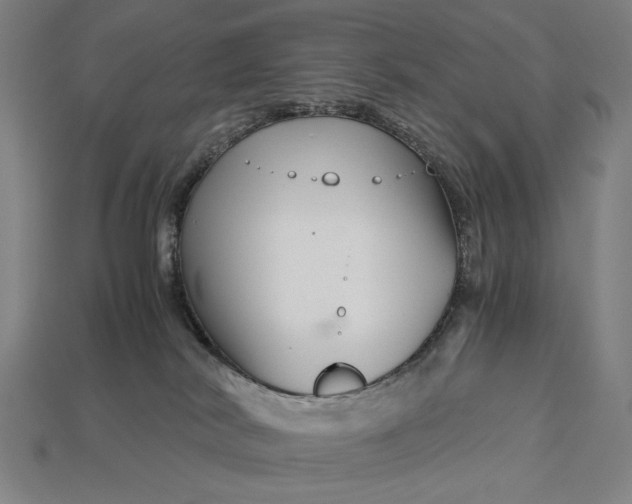 X0000112880038200909111453