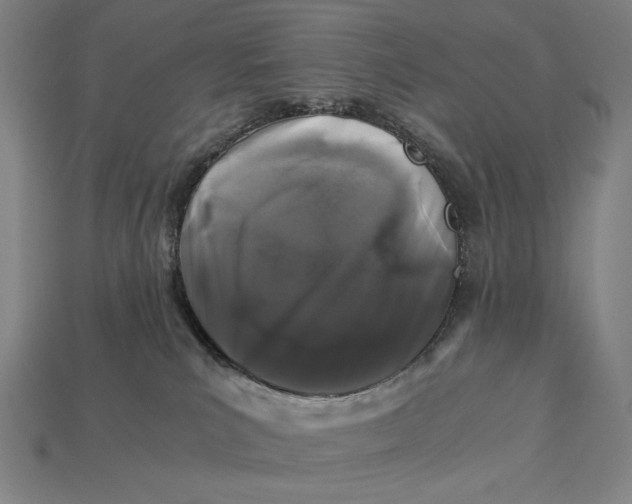 X0000112880039200909111453