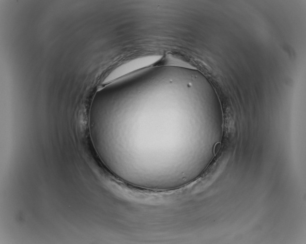 X0000112880040200909111453