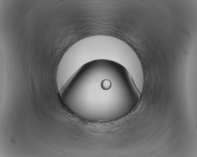 X0000112880041200909111453