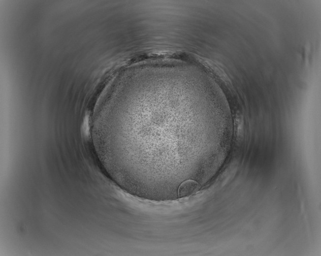 X0000112880042200909111453