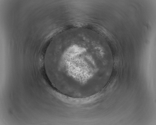 X0000112880043200909111453