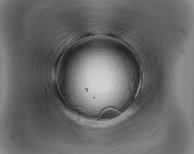 X0000112880048200909111452