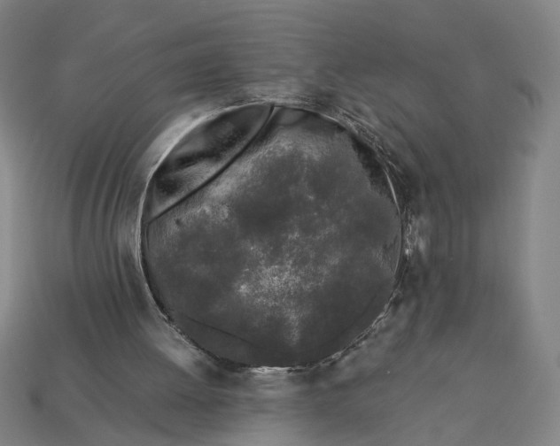 X0000112880052200909111452