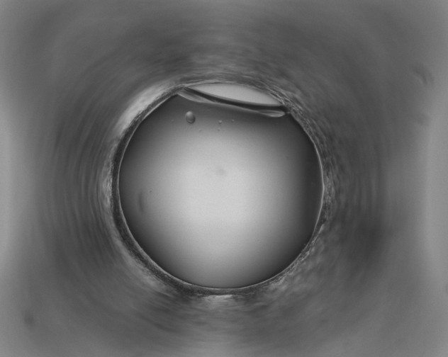 X0000112880054200909111452