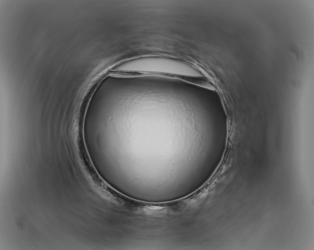 X0000112880055200909111452