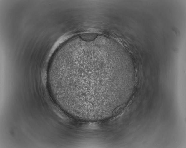 X0000112880056200909111452