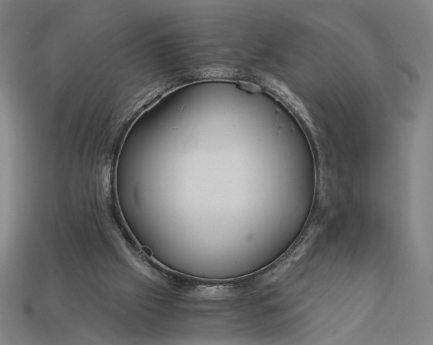 X0000112880057200909111452